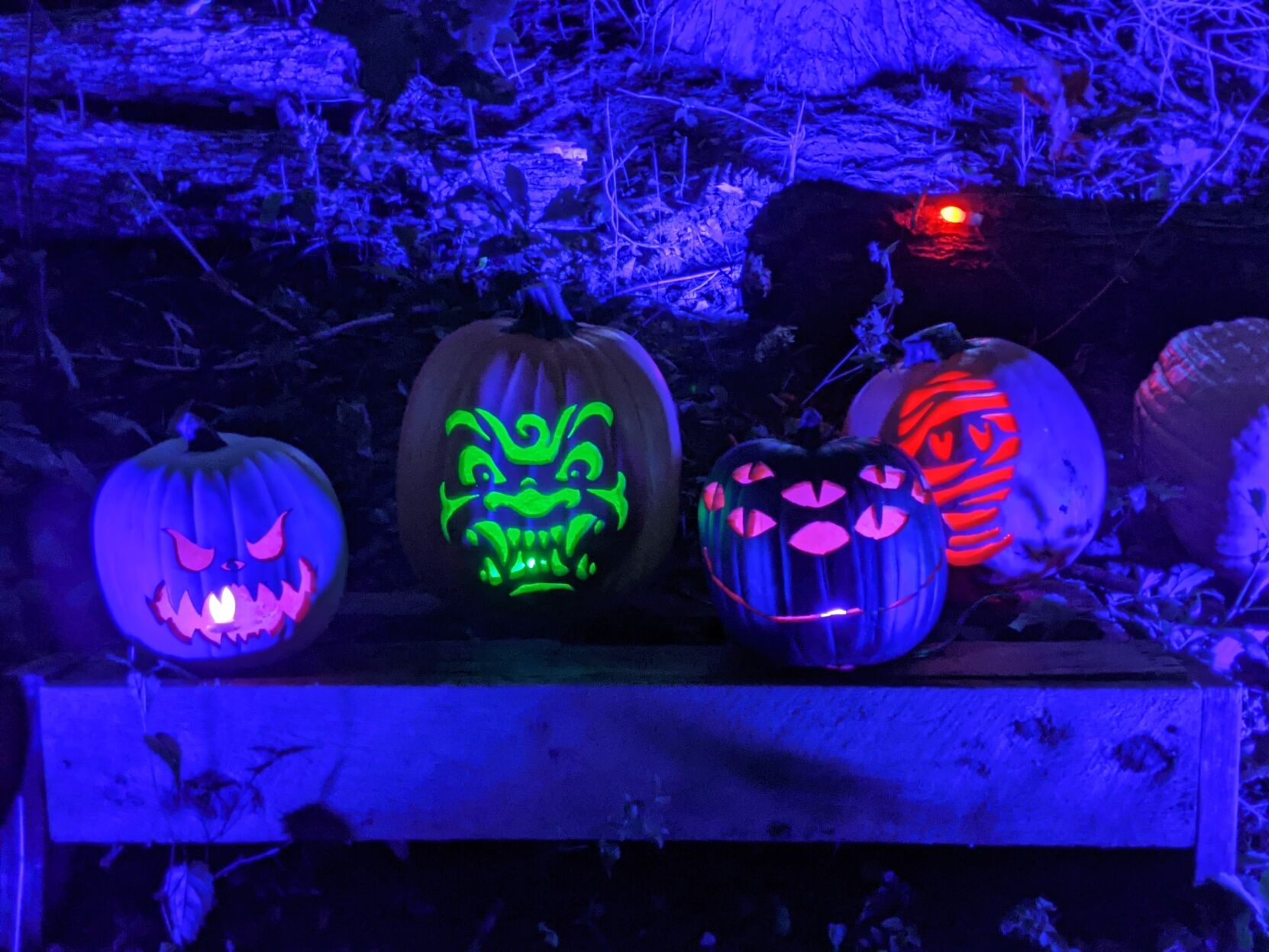 Black light pumpkins
